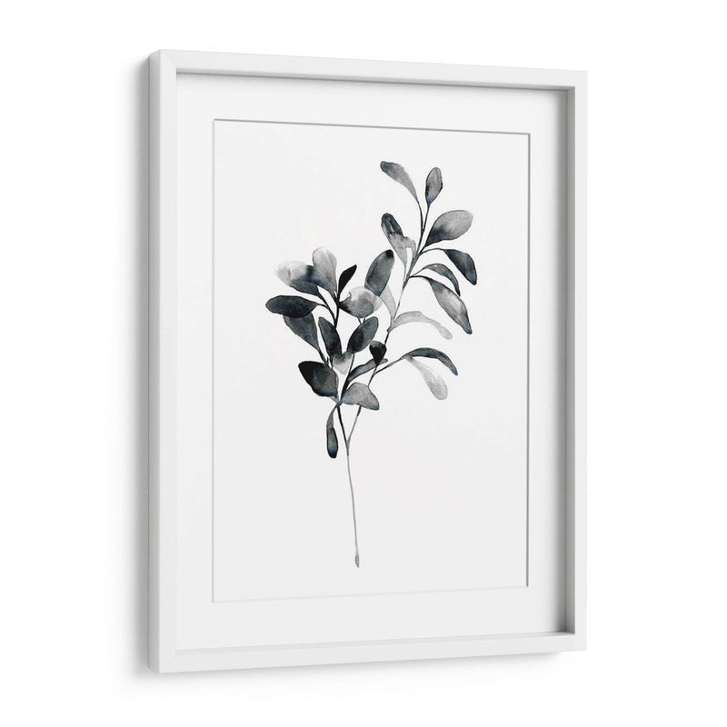 Brume Botanical I - Emma Scarvey | Cuadro decorativo de Canvas Lab