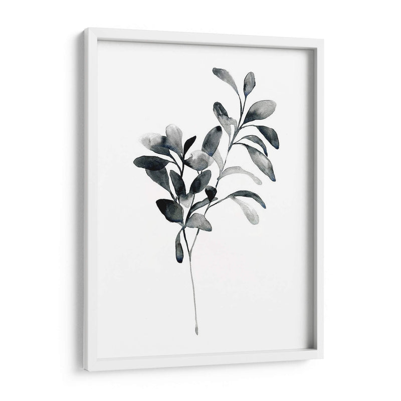 Brume Botanical I - Emma Scarvey | Cuadro decorativo de Canvas Lab