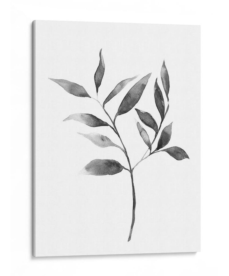 Brume Botanical Ii - Emma Scarvey | Cuadro decorativo de Canvas Lab