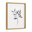 Brume Botanical Ii - Emma Scarvey | Cuadro decorativo de Canvas Lab