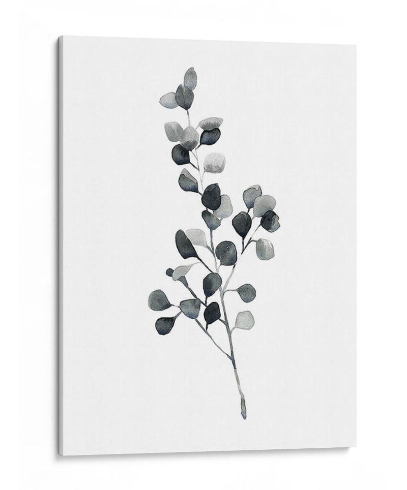 Brume Botanical Iii - Emma Scarvey | Cuadro decorativo de Canvas Lab