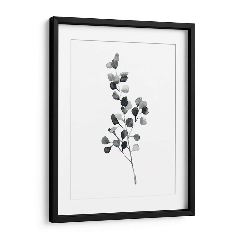 Brume Botanical Iii - Emma Scarvey | Cuadro decorativo de Canvas Lab