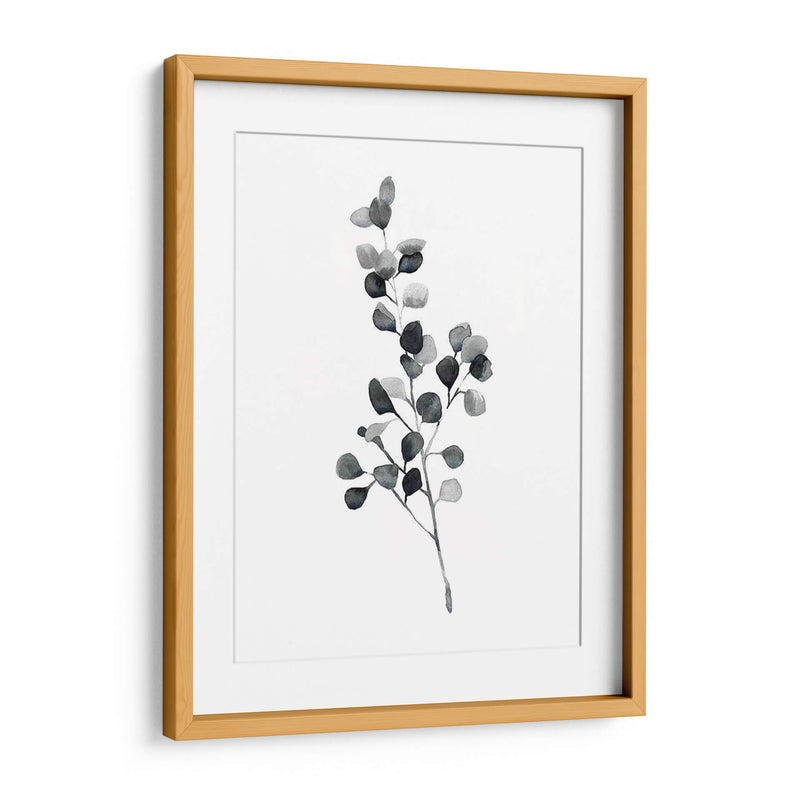 Brume Botanical Iii - Emma Scarvey | Cuadro decorativo de Canvas Lab