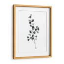 Brume Botanical Iii - Emma Scarvey | Cuadro decorativo de Canvas Lab