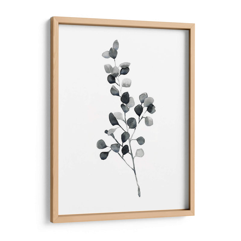 Brume Botanical Iii - Emma Scarvey | Cuadro decorativo de Canvas Lab