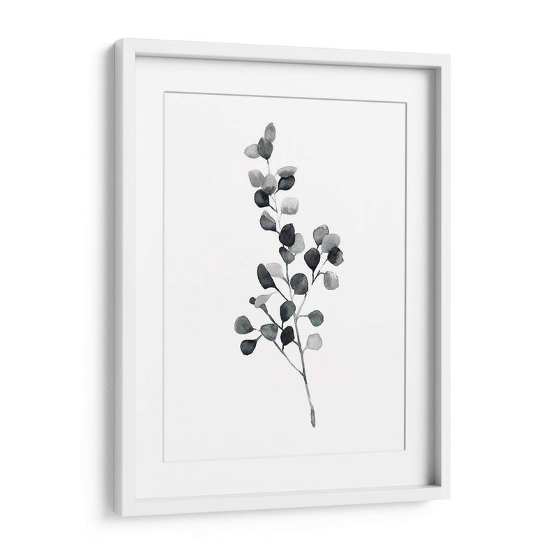 Brume Botanical Iii - Emma Scarvey | Cuadro decorativo de Canvas Lab