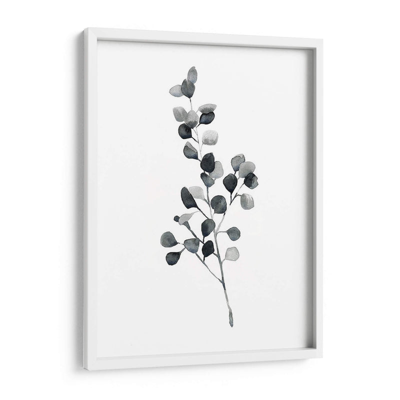 Brume Botanical Iii - Emma Scarvey | Cuadro decorativo de Canvas Lab