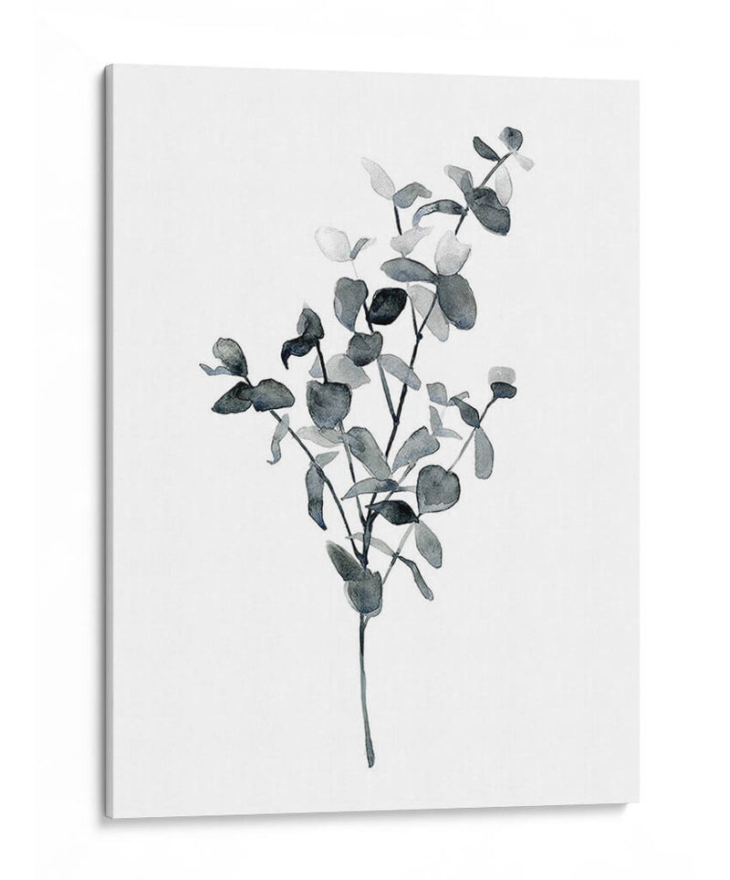 Brume Botanical Iv - Emma Scarvey | Cuadro decorativo de Canvas Lab