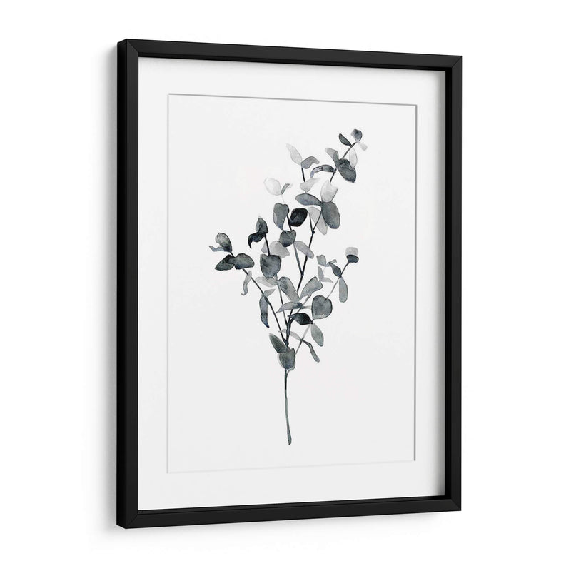 Brume Botanical Iv - Emma Scarvey | Cuadro decorativo de Canvas Lab