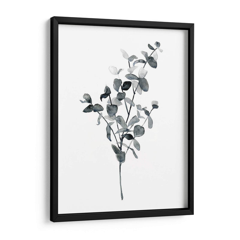 Brume Botanical Iv - Emma Scarvey | Cuadro decorativo de Canvas Lab