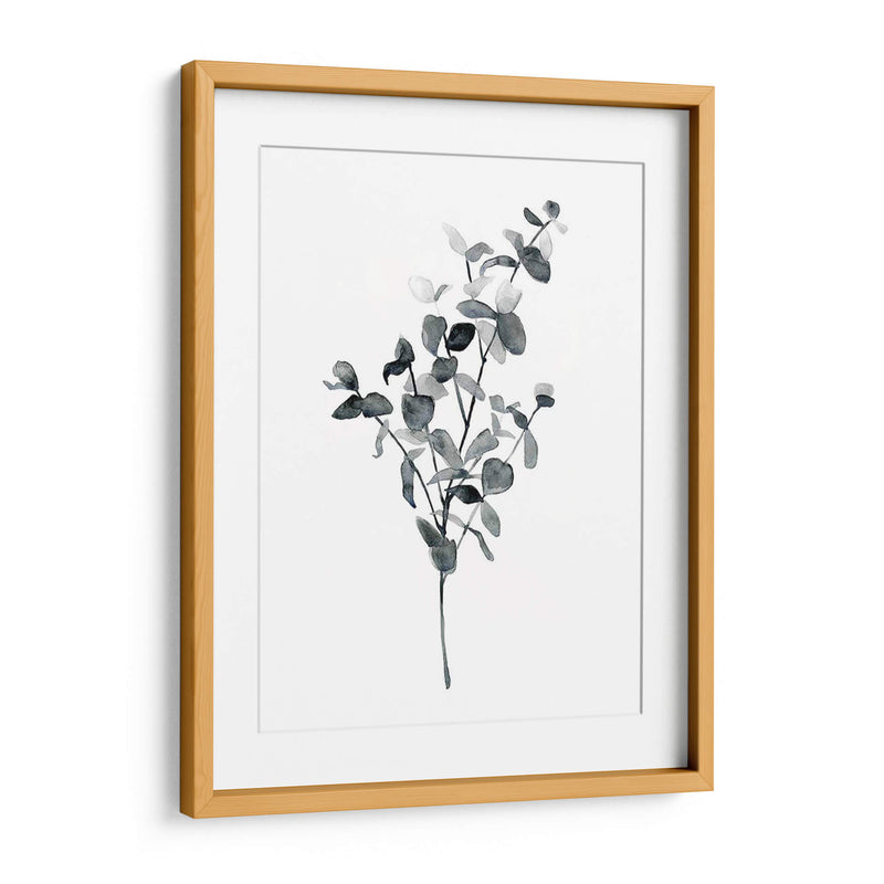 Brume Botanical Iv - Emma Scarvey | Cuadro decorativo de Canvas Lab