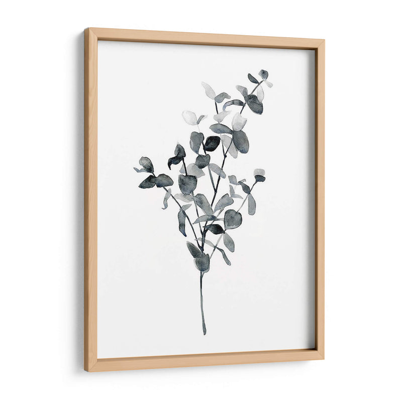 Brume Botanical Iv - Emma Scarvey | Cuadro decorativo de Canvas Lab