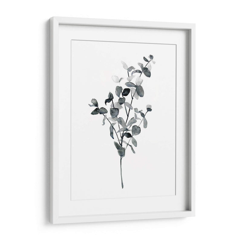 Brume Botanical Iv - Emma Scarvey | Cuadro decorativo de Canvas Lab