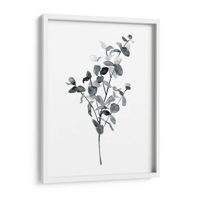 Brume Botanical Iv - Emma Scarvey | Cuadro decorativo de Canvas Lab