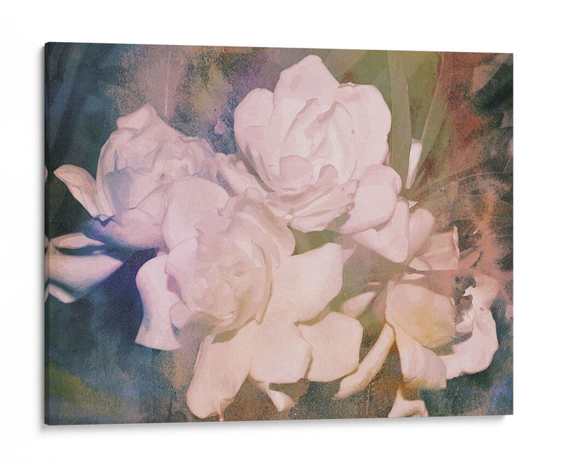 Blush Gardenia Beauty I - Sharon Chandler | Cuadro decorativo de Canvas Lab