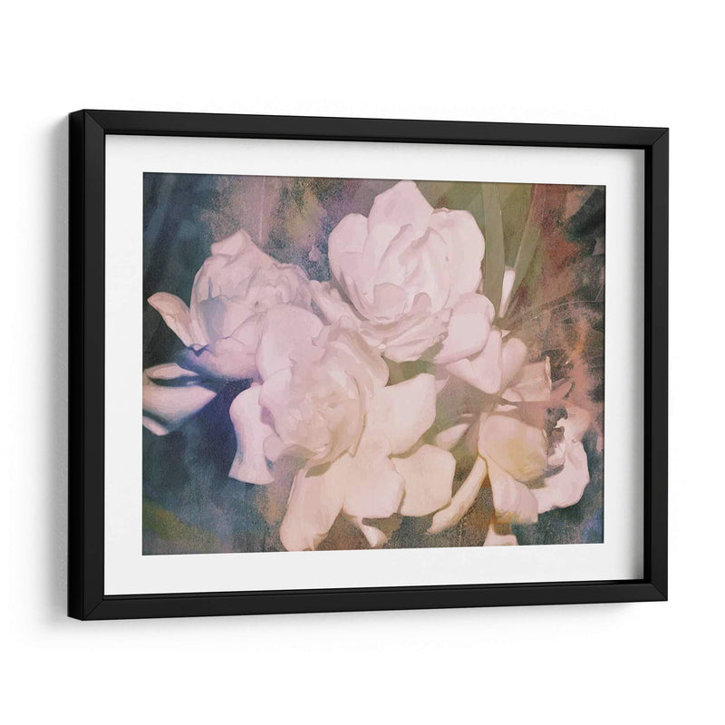 Blush Gardenia Beauty I - Sharon Chandler | Cuadro decorativo de Canvas Lab