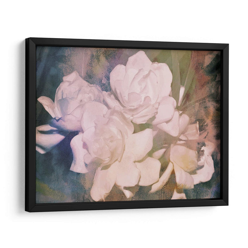 Blush Gardenia Beauty I - Sharon Chandler | Cuadro decorativo de Canvas Lab