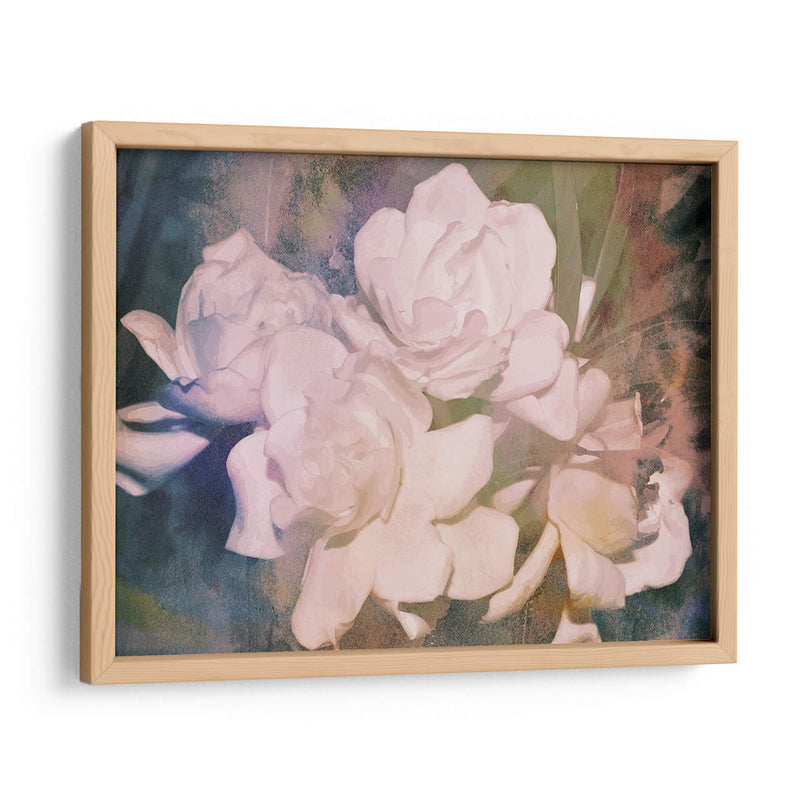 Blush Gardenia Beauty I - Sharon Chandler | Cuadro decorativo de Canvas Lab