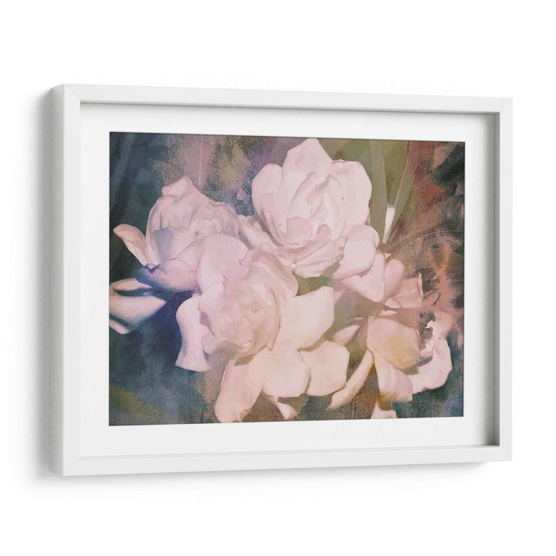 Blush Gardenia Beauty I - Sharon Chandler | Cuadro decorativo de Canvas Lab