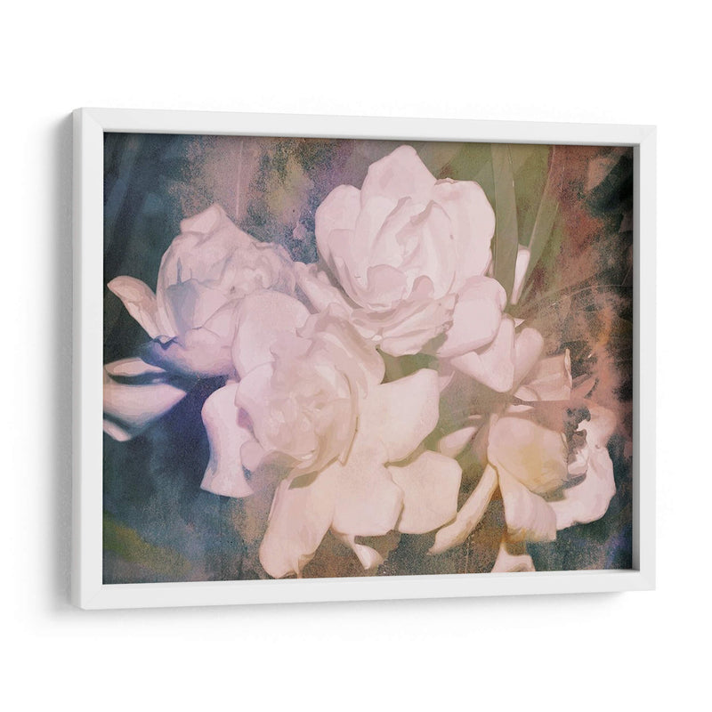 Blush Gardenia Beauty I - Sharon Chandler | Cuadro decorativo de Canvas Lab