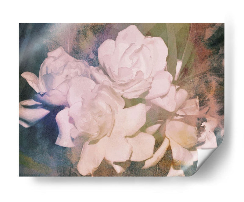 Blush Gardenia Beauty I - Sharon Chandler | Cuadro decorativo de Canvas Lab