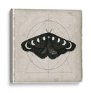 Midnight Moth I - Victoria Borges | Cuadro decorativo de Canvas Lab