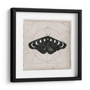 Midnight Moth I - Victoria Borges | Cuadro decorativo de Canvas Lab