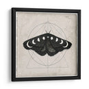 Midnight Moth I - Victoria Borges | Cuadro decorativo de Canvas Lab