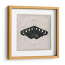 Midnight Moth I - Victoria Borges | Cuadro decorativo de Canvas Lab