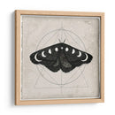 Midnight Moth I - Victoria Borges | Cuadro decorativo de Canvas Lab