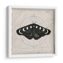 Midnight Moth I - Victoria Borges | Cuadro decorativo de Canvas Lab
