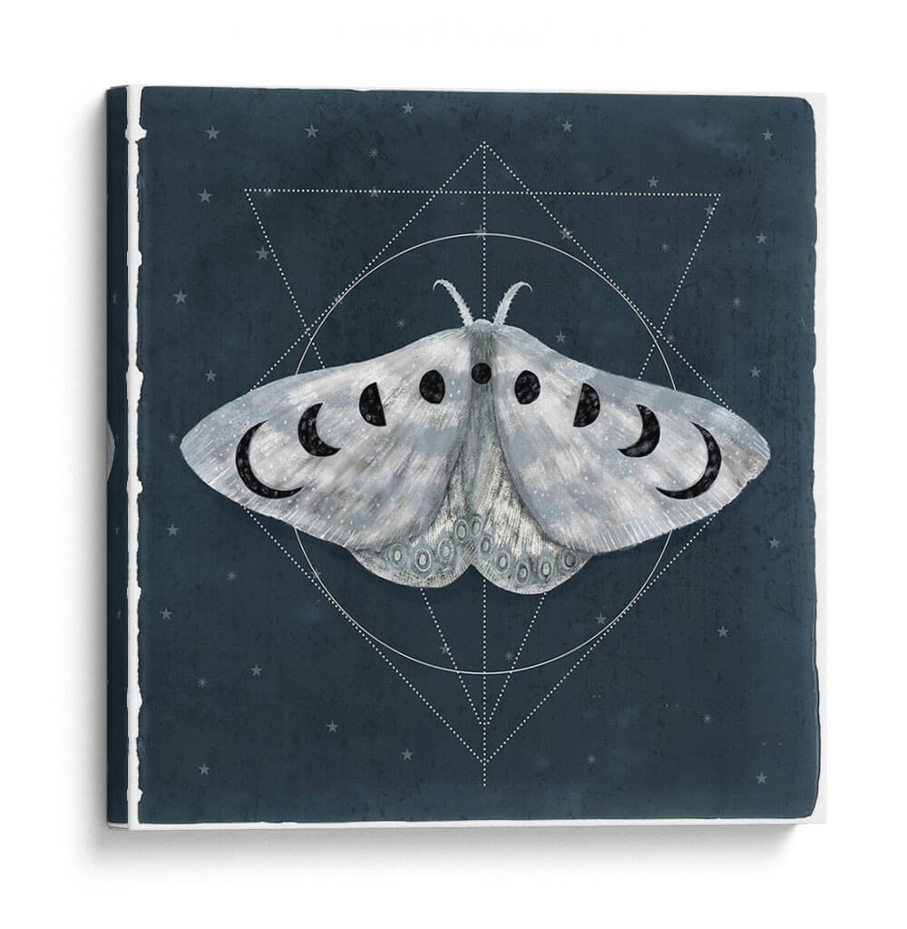 Midnight Moth Ii - Victoria Borges | Cuadro decorativo de Canvas Lab
