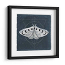 Midnight Moth Ii - Victoria Borges | Cuadro decorativo de Canvas Lab