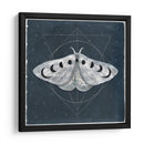 Midnight Moth Ii - Victoria Borges | Cuadro decorativo de Canvas Lab