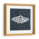 Midnight Moth Ii - Victoria Borges | Cuadro decorativo de Canvas Lab