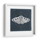 Midnight Moth Ii - Victoria Borges | Cuadro decorativo de Canvas Lab