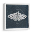 Midnight Moth Ii - Victoria Borges | Cuadro decorativo de Canvas Lab