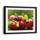 La Cosecha Ii - Rachel Perry | Cuadro decorativo de Canvas Lab