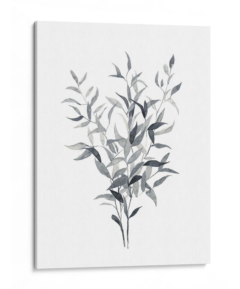 Paynes Gray Botanicals I - Emma Scarvey | Cuadro decorativo de Canvas Lab