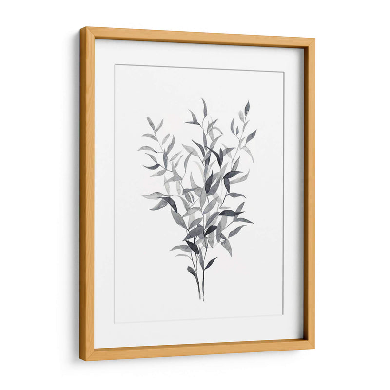 Paynes Gray Botanicals I - Emma Scarvey | Cuadro decorativo de Canvas Lab