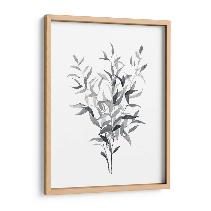 Paynes Gray Botanicals I - Emma Scarvey | Cuadro decorativo de Canvas Lab