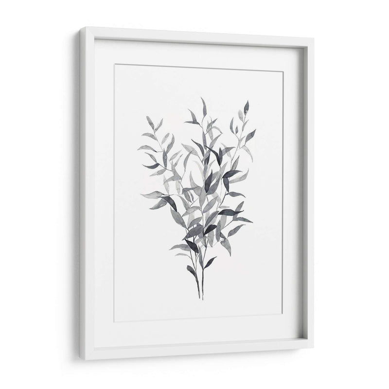 Paynes Gray Botanicals I - Emma Scarvey | Cuadro decorativo de Canvas Lab