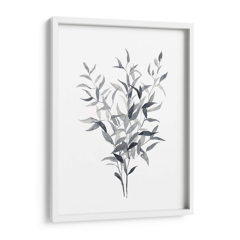 Paynes Gray Botanicals I - Emma Scarvey | Cuadro decorativo de Canvas Lab