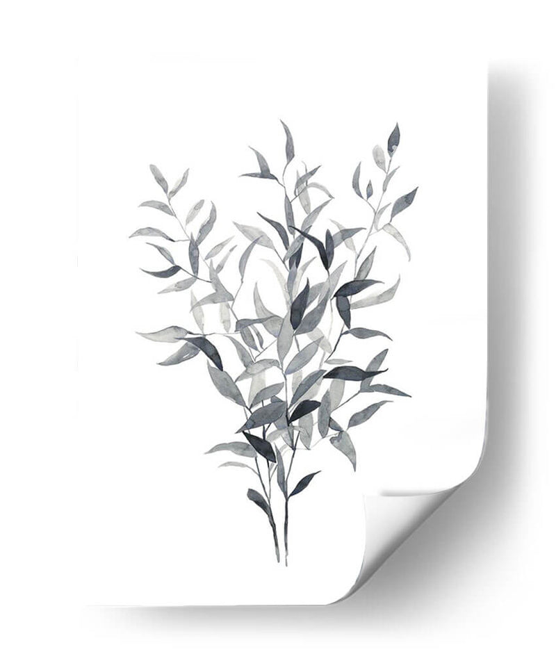 Paynes Gray Botanicals I - Emma Scarvey | Cuadro decorativo de Canvas Lab