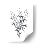 Paynes Gray Botanicals I - Emma Scarvey | Cuadro decorativo de Canvas Lab