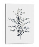 Paynes Gray Botanicals Ii - Emma Scarvey | Cuadro decorativo de Canvas Lab