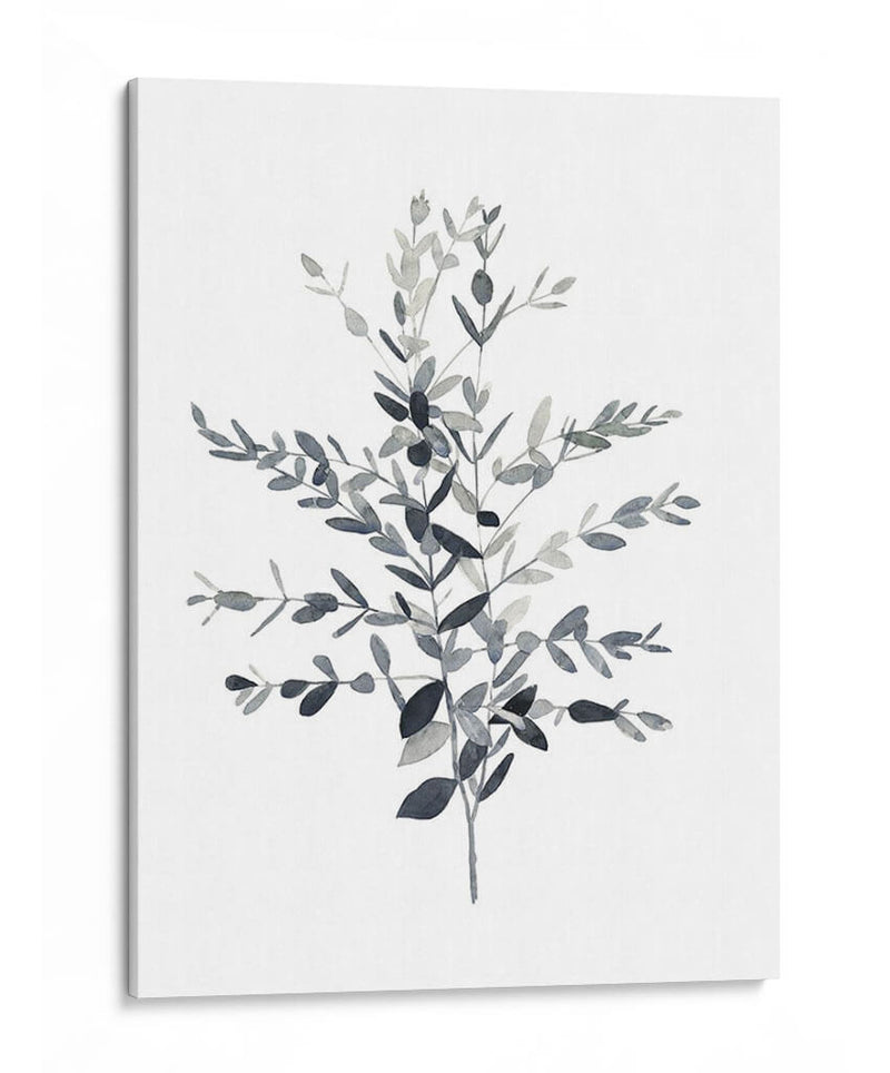 Paynes Gray Botanicals Ii - Emma Scarvey | Cuadro decorativo de Canvas Lab