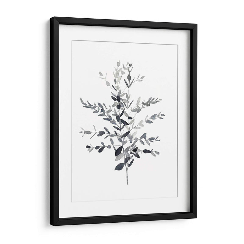 Paynes Gray Botanicals Ii - Emma Scarvey | Cuadro decorativo de Canvas Lab