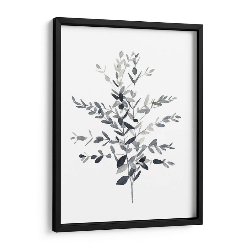 Paynes Gray Botanicals Ii - Emma Scarvey | Cuadro decorativo de Canvas Lab