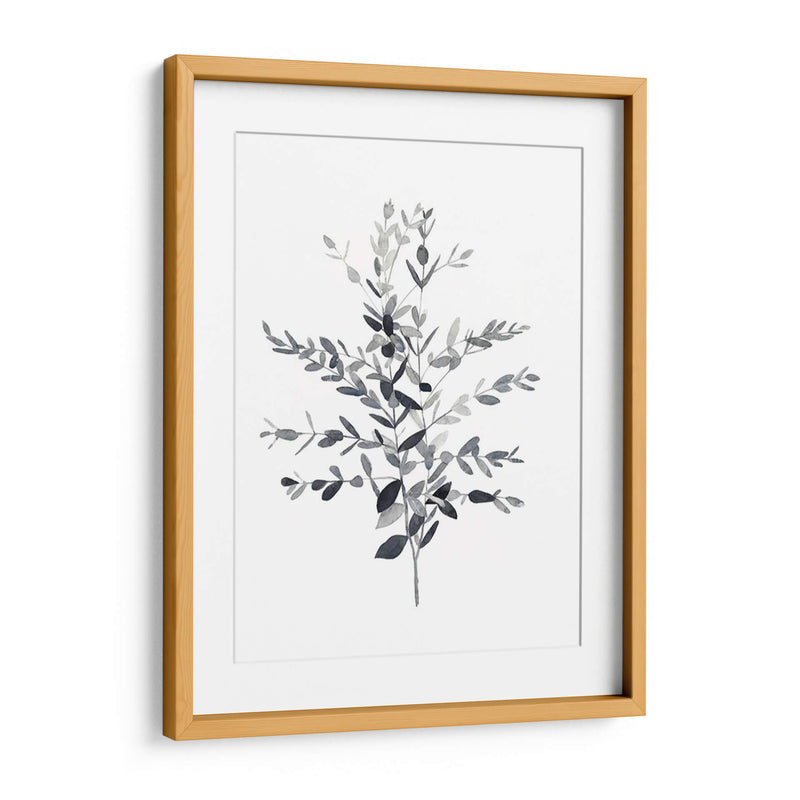 Paynes Gray Botanicals Ii - Emma Scarvey | Cuadro decorativo de Canvas Lab